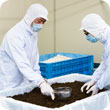 製法は、清潔で自然な香りの微生物制御発酵法